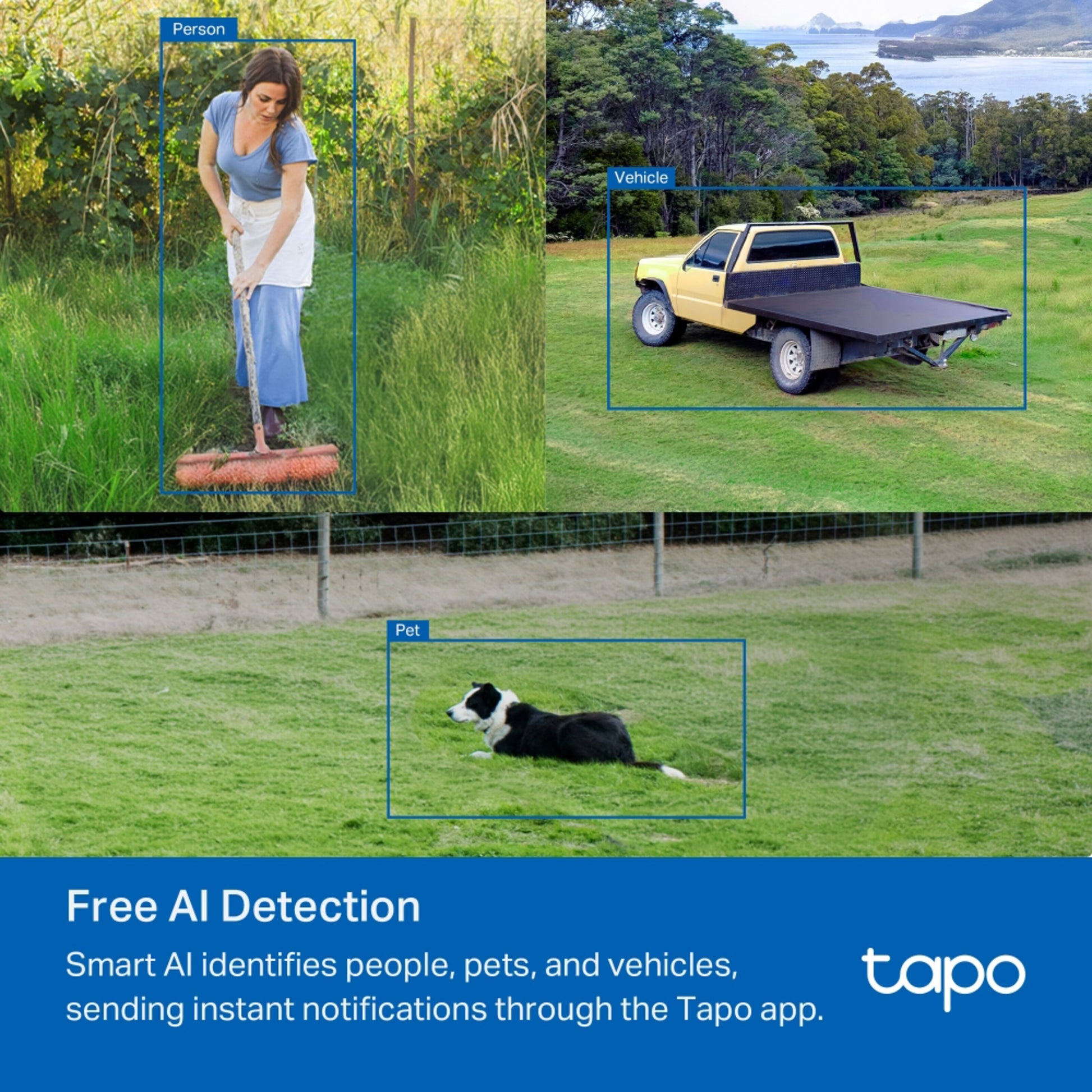 Tp-Link Tapo C501GW Udendørs 4G LTE kamera AI registrerer person, kæledyr og køretøj med blå mærkater vises på billedet.