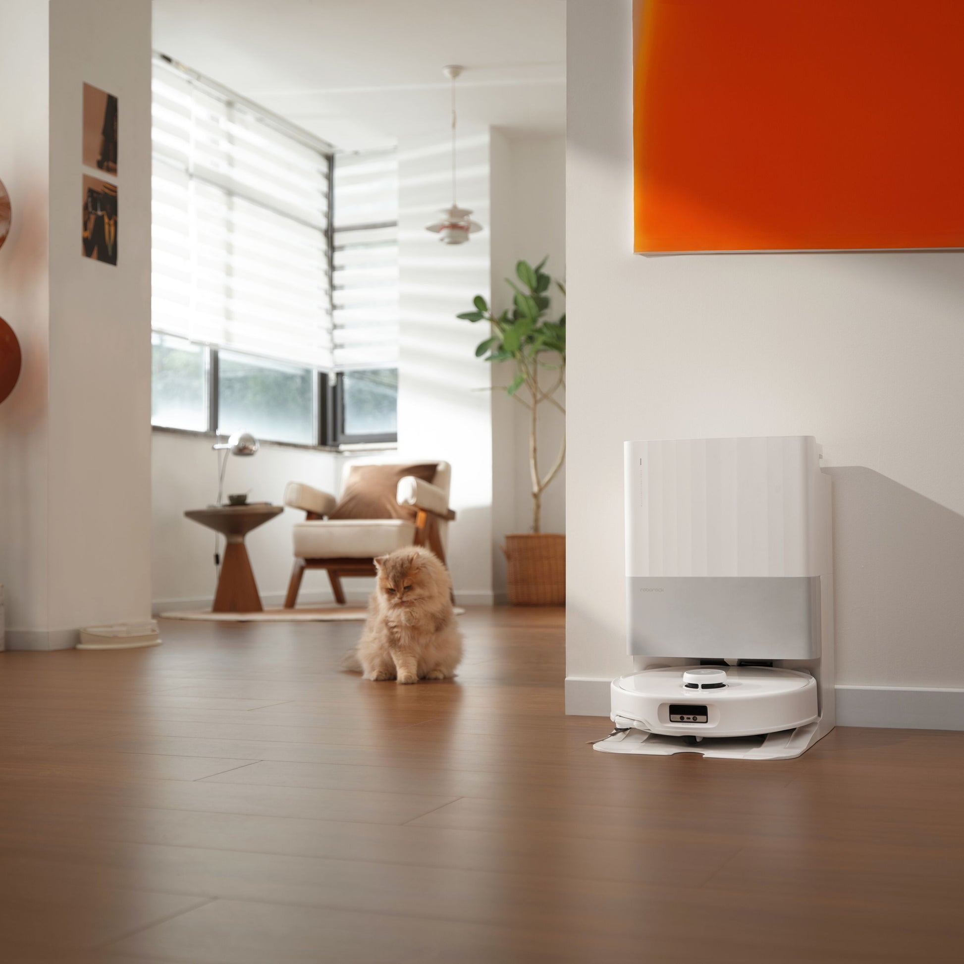 Roborock Qrevo Edge fuldautomatisk robotstøvsuger oplader på trægulv ved siden af orange kat, møbler og plante.