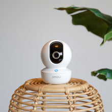 Imou Ranger RC 2K+ 4MP trådløst indendørskamera på fletkurv med grøn plante og lys grå væg, synlig 360° linse.