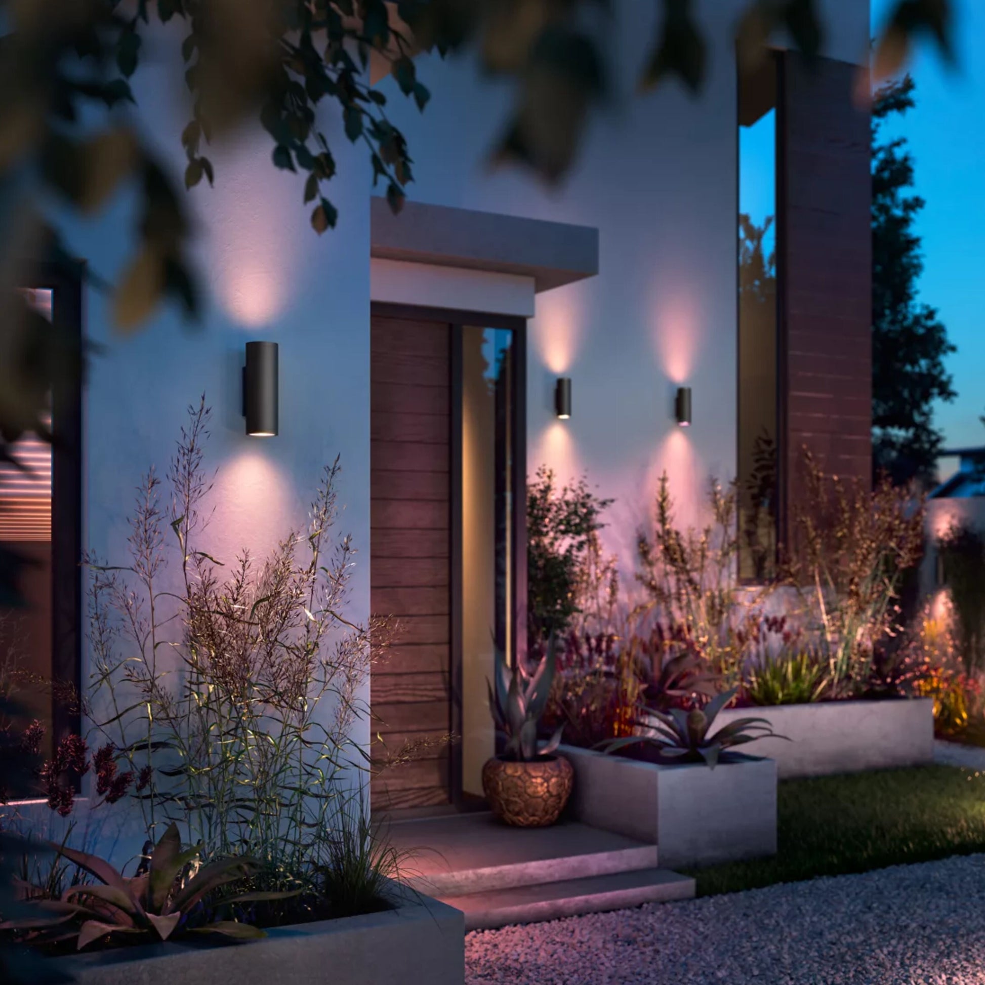 Philips Hue udendørs facadebelysning lyser hvid husfacade, planter og grusstier op med pink lys ved indgang.