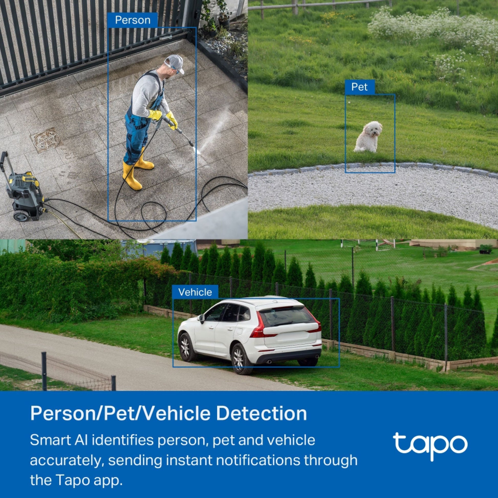 TP-Link Tapo C530WS trådløst overvågningskamera AI-detektion illustration Person, Pet, Vehicle nattesyn.