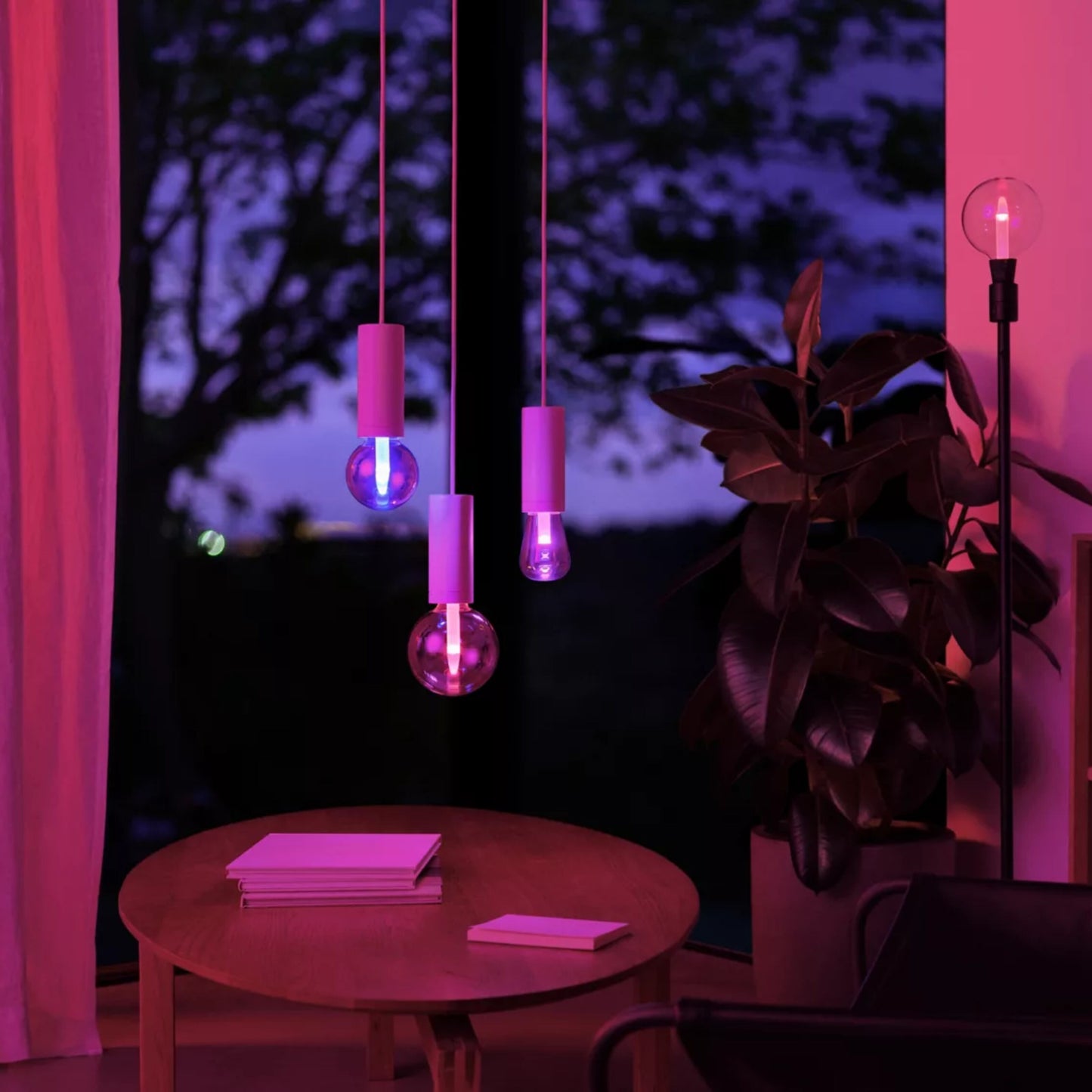 Philips Hue RGB G95 Smart LED-pære E27 500 lm lyser lilla, synlig i rum med plante, runde bord med bøger og stort vindue.