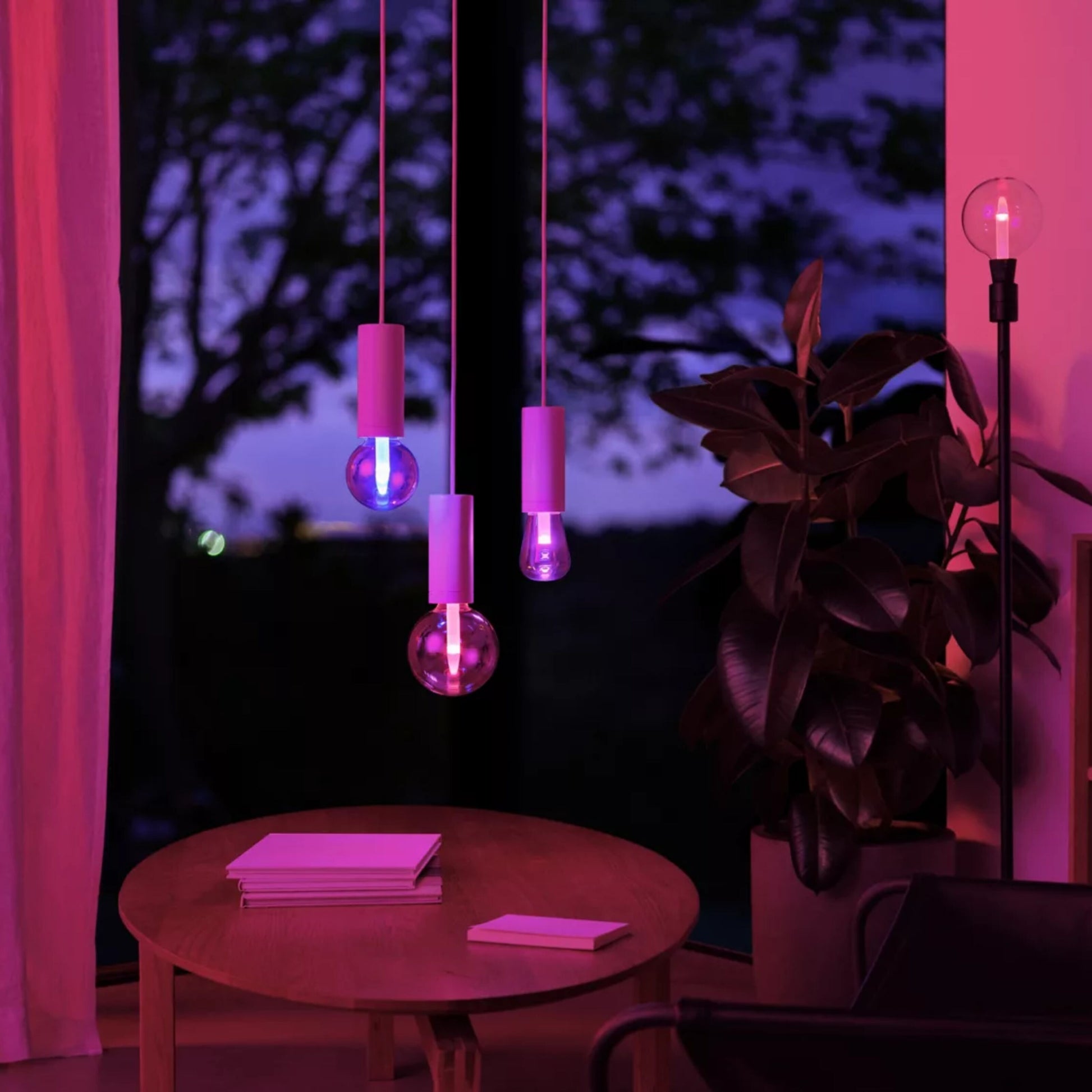 Philips Hue RGB G95 Smart LED-pære E27 500 lm lyser lilla, synlig i rum med plante, runde bord med bøger og stort vindue.