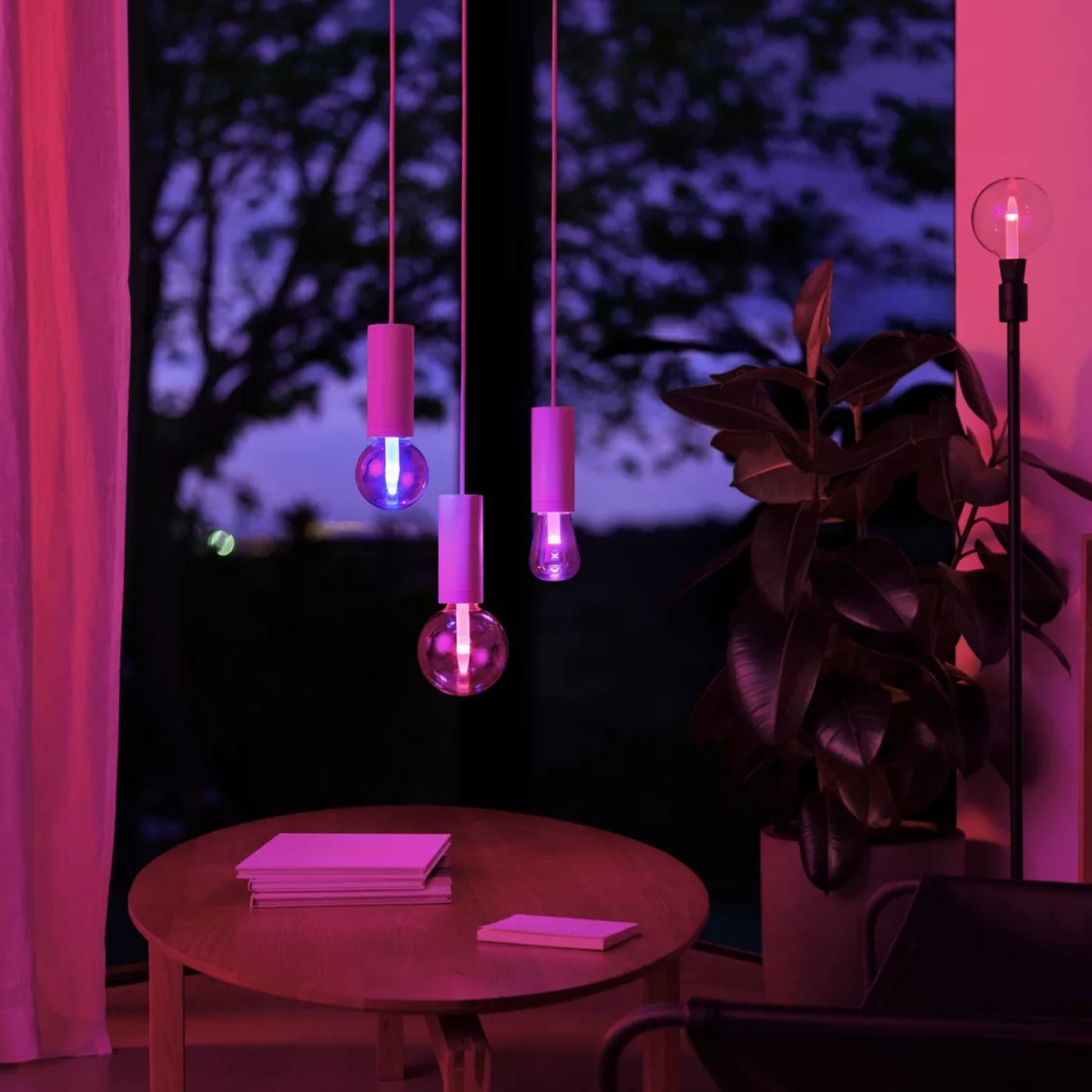 Philips Hue RGB ST72 smart LED-pære E27 500 lm, tre stk. i lilla og blå belysning, synlig plante og bøger.