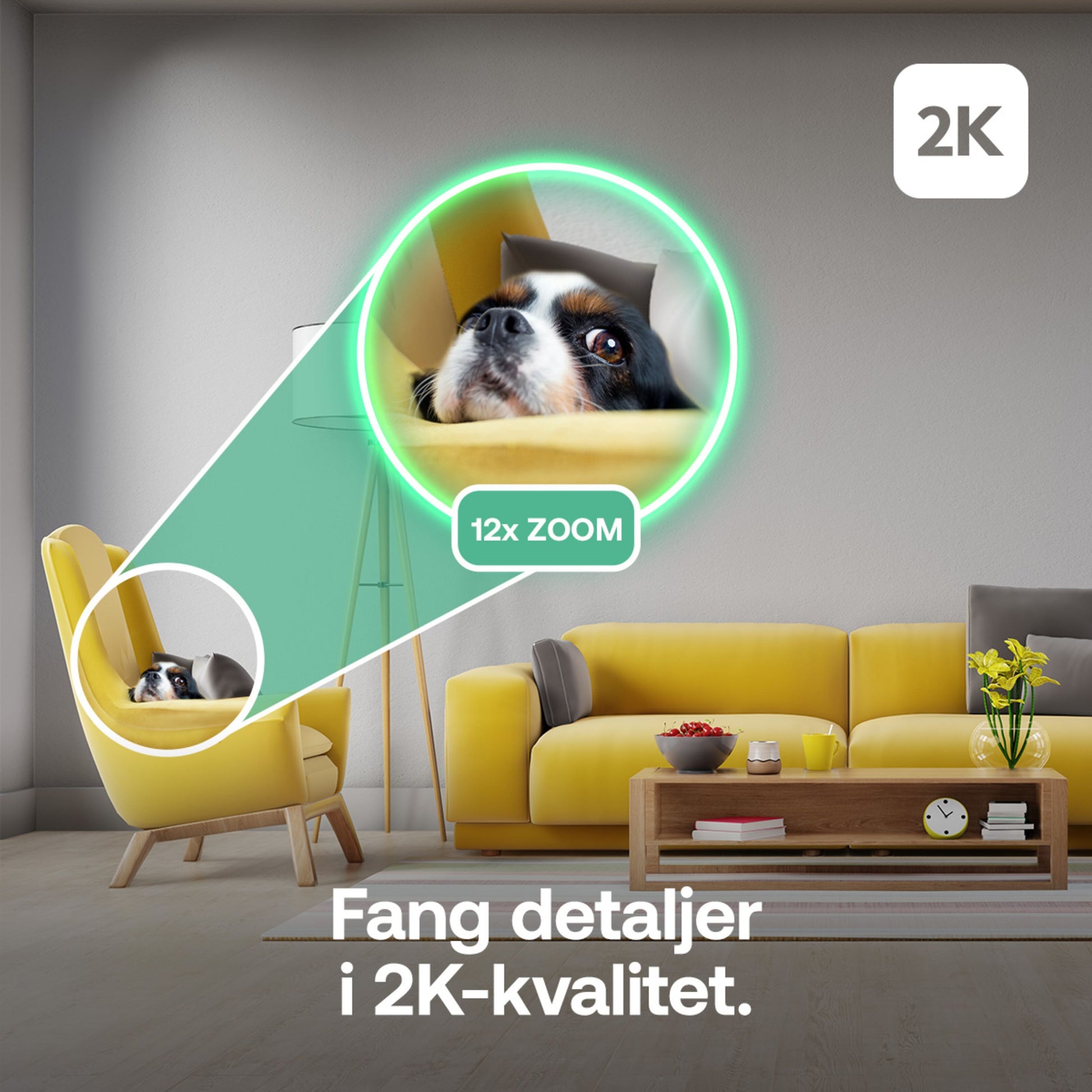 Arlo Essential 3 2K PTZ indendørs overvågningskamera 2-pak, tekst: Fang detaljer i 2K, grøn cirkel viser 12x ZOOM.
