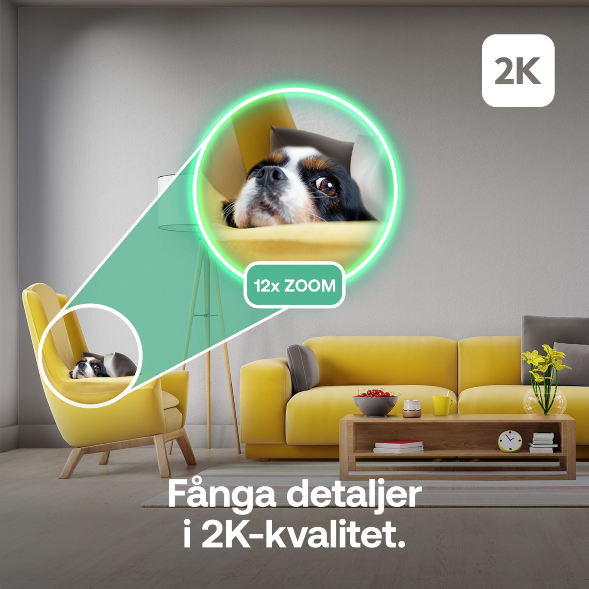 Arlo Essential 3 2K PTZ overvågningskamera 2-pak, tekst: Fånga detaljer i 2K-kvalitet, zoom 12x fremhæver dyremotiv.