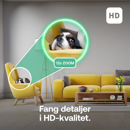 Arlo Essential 3 HD PTZ overvågningskamera indendørs 2-pak, zoom på hunds ansigt, tekst: Fang detaljer i HD-kvalitet, 12x ZOOM.