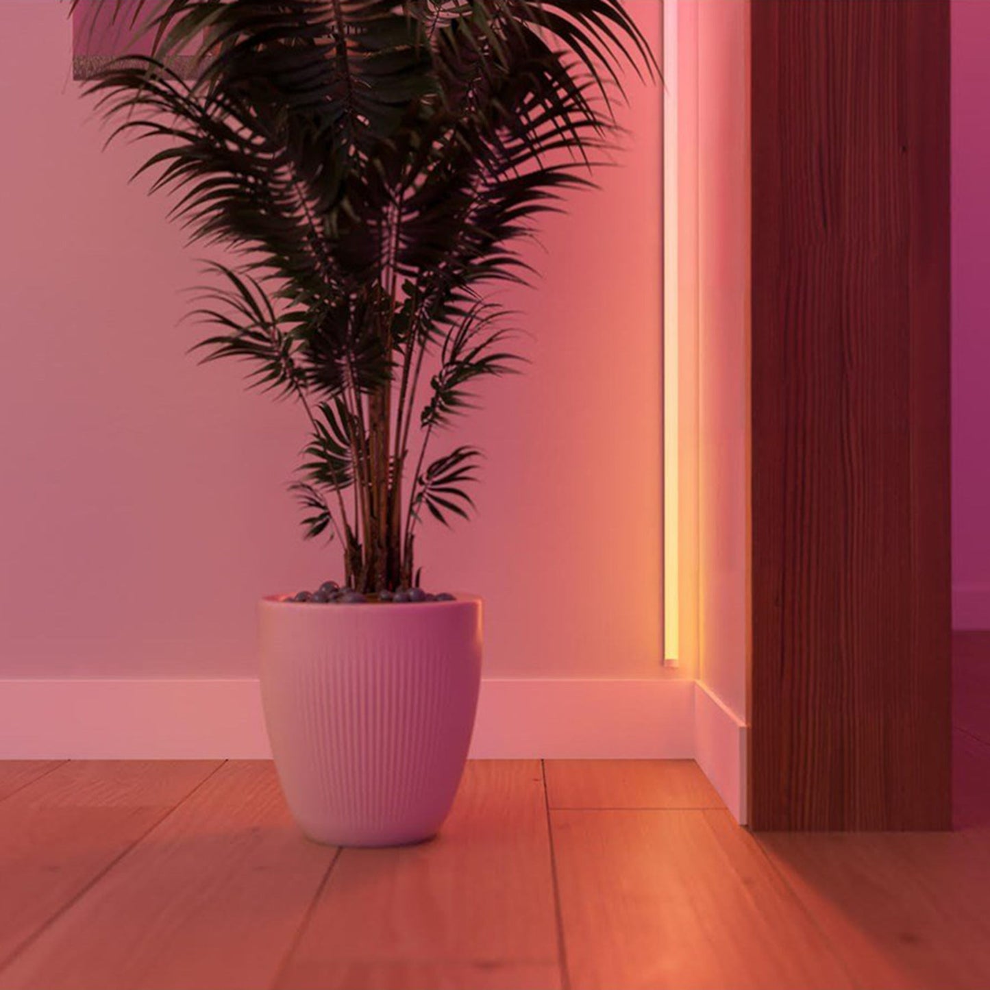 Philips Hue OmniGlow smart lysliste med fuld farveskala lyser dæmpbart i rosa og orange ved væg, trægulv, grøn plante.