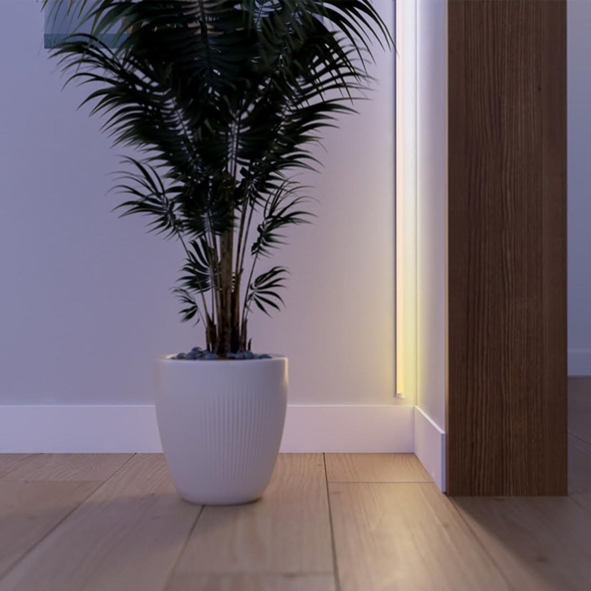 Philips Hue OmniGlow smart lysliste med fuld farveskala lyser plante i hvid rillet potte på trægulv ved væg og panel.