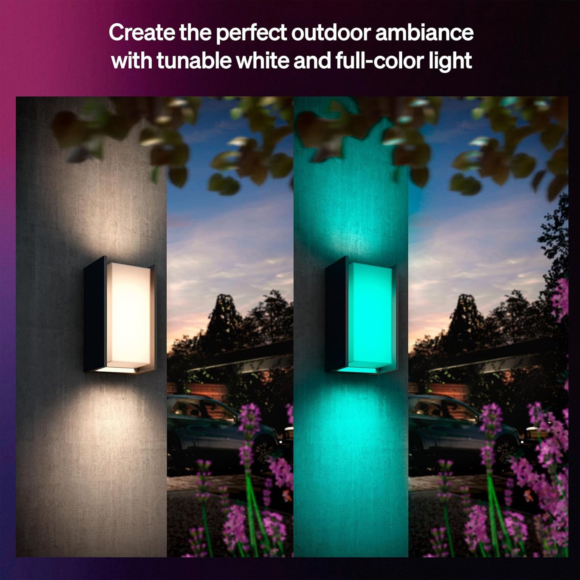 Philips Hue Turaco udendørs væglamper i hvid og blågrøn monteret på havemur omgivet af lilla blomster.