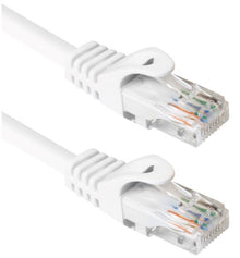 2 stk. hvide Cat 6 UTP-kabler 2,0 m med gennemsigtige RJ45-stik og synlige farvede ledninger, placeret parallelt.