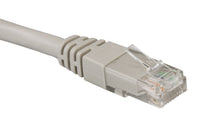 UTP-netværkskabel Cat. 6 grå 0,25 m med klart RJ45-stik og synlige farvede ledninger.