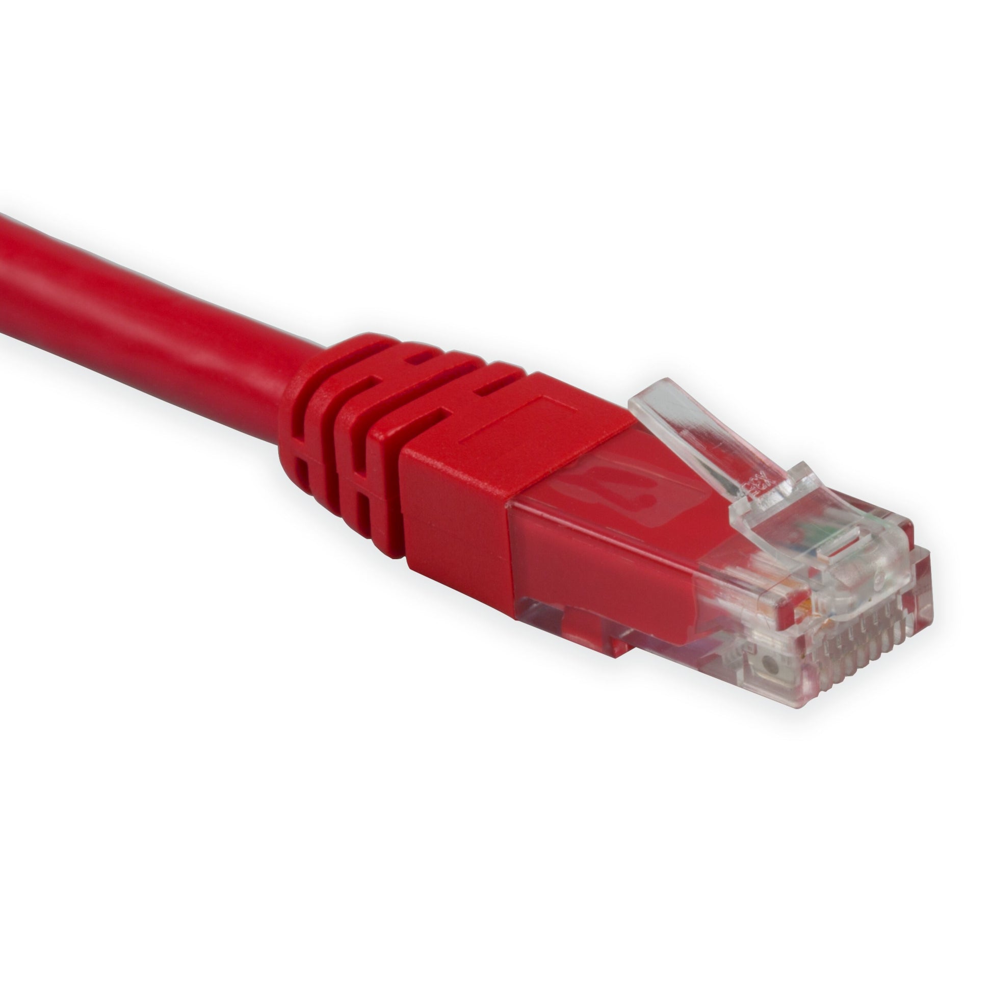 UTP-netværkskabel Cat. 6 rød 1,0 m med klar RJ45-stik og synlige indre ledere.