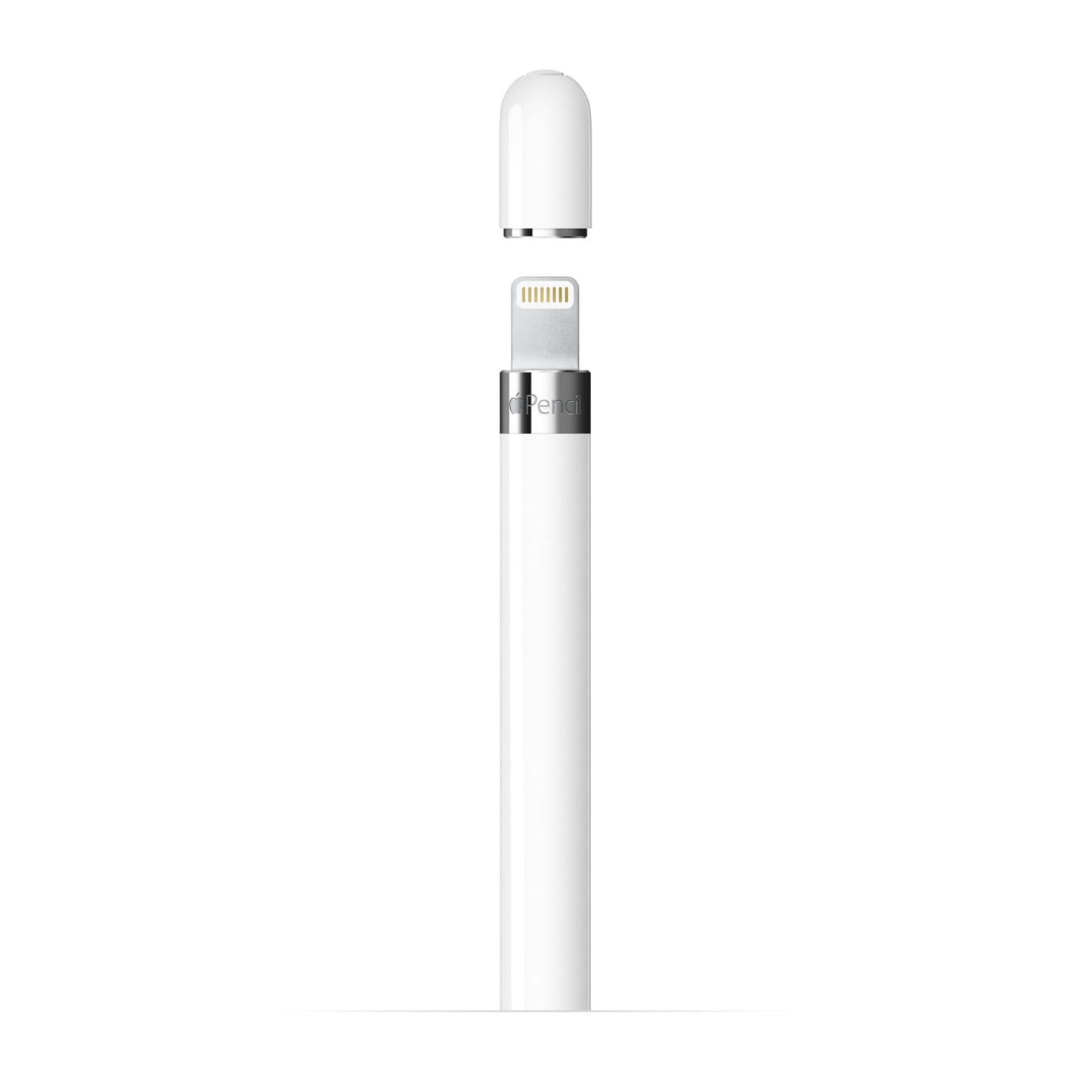 Apple Pencil Gen 1, hvid med sølvfarvet bånd og aftagelig hætte, vises lodret over opladningsstik.