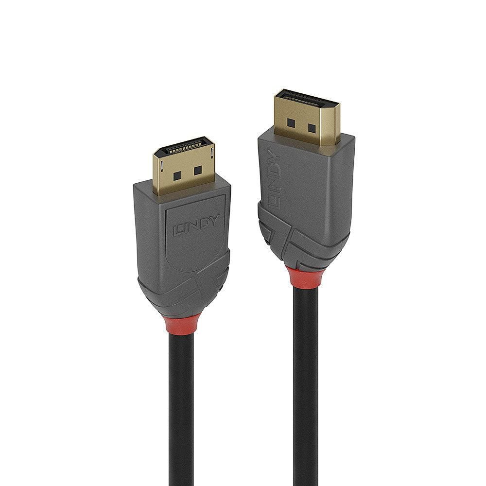 Lindy DisplayPort 1.4 Anthra Line kabel 5m sort, grå/rød stik, guldbelagte kontakter, 8K, Lindy-logo på stik.