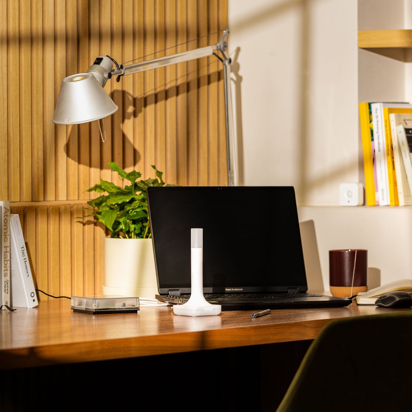 Nabu Casa Home Assistant Connect ZBT-2 hub på skrivebord med Raspberry Pi, laptop, bog, rød kop og plante.
