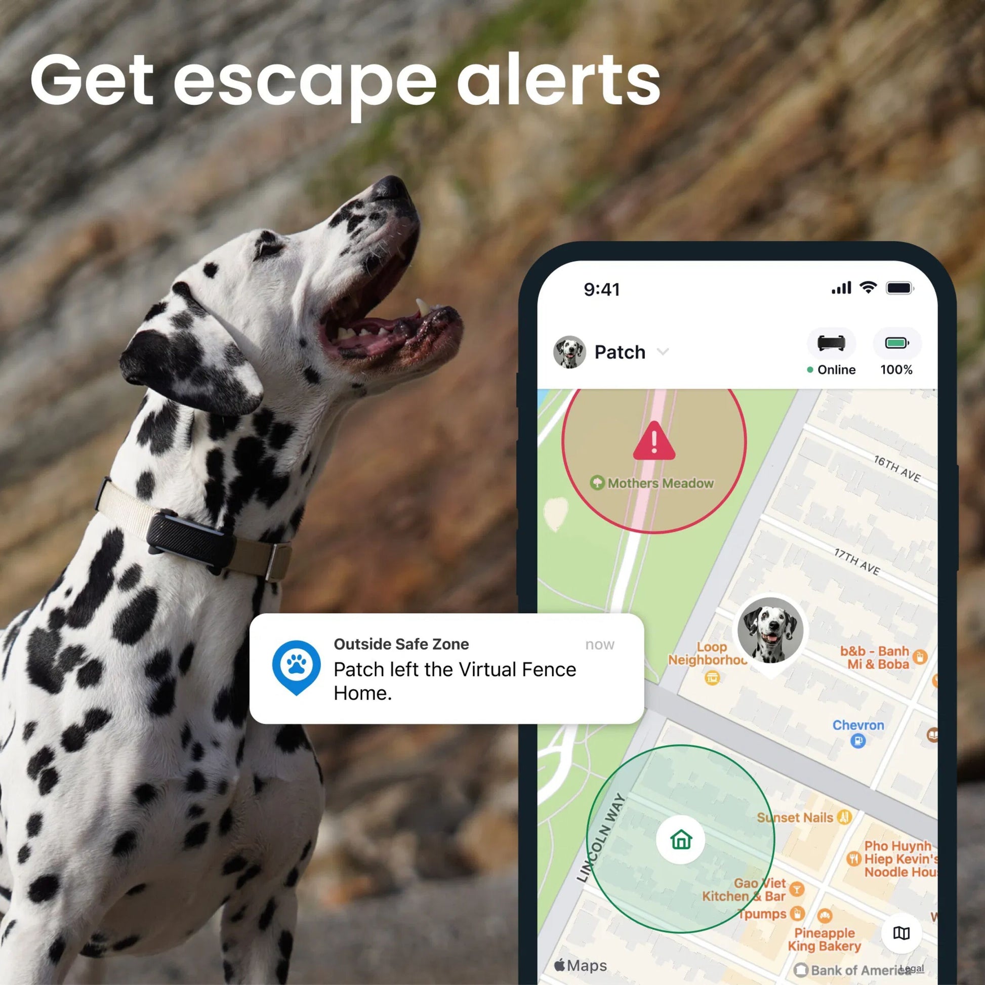 Tractive HUND 6 GPS-tracker halsbånd på dalmatiner, app viser "Patch left the Virtual Fence Home", flugtadvarsler, 14 dages batteri.