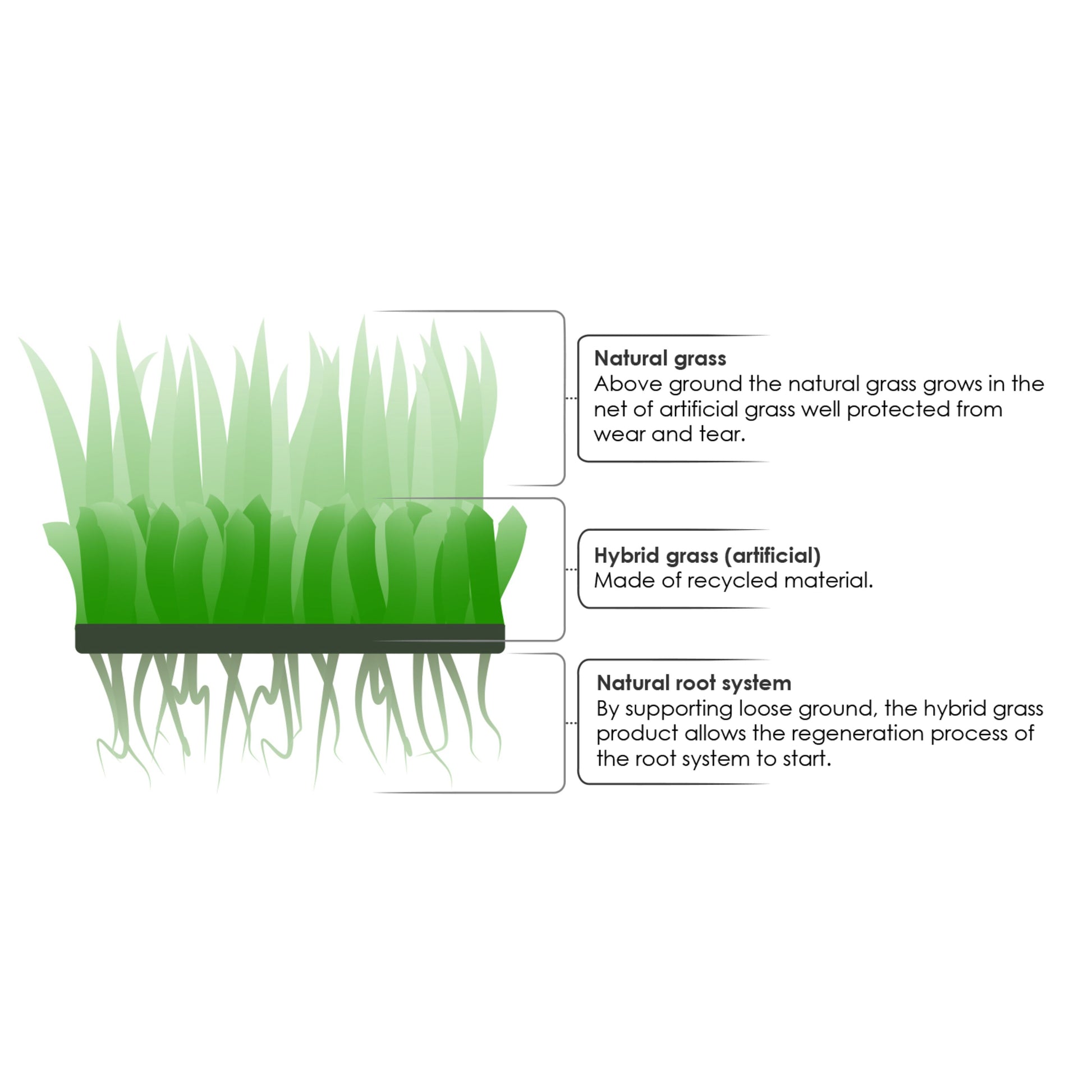 Grimsholm Hybridgræs Premium 1-1 m, tværsnit med lag: naturgræs øverst, genbrugsmateriale i midten, naturlig rodzone.