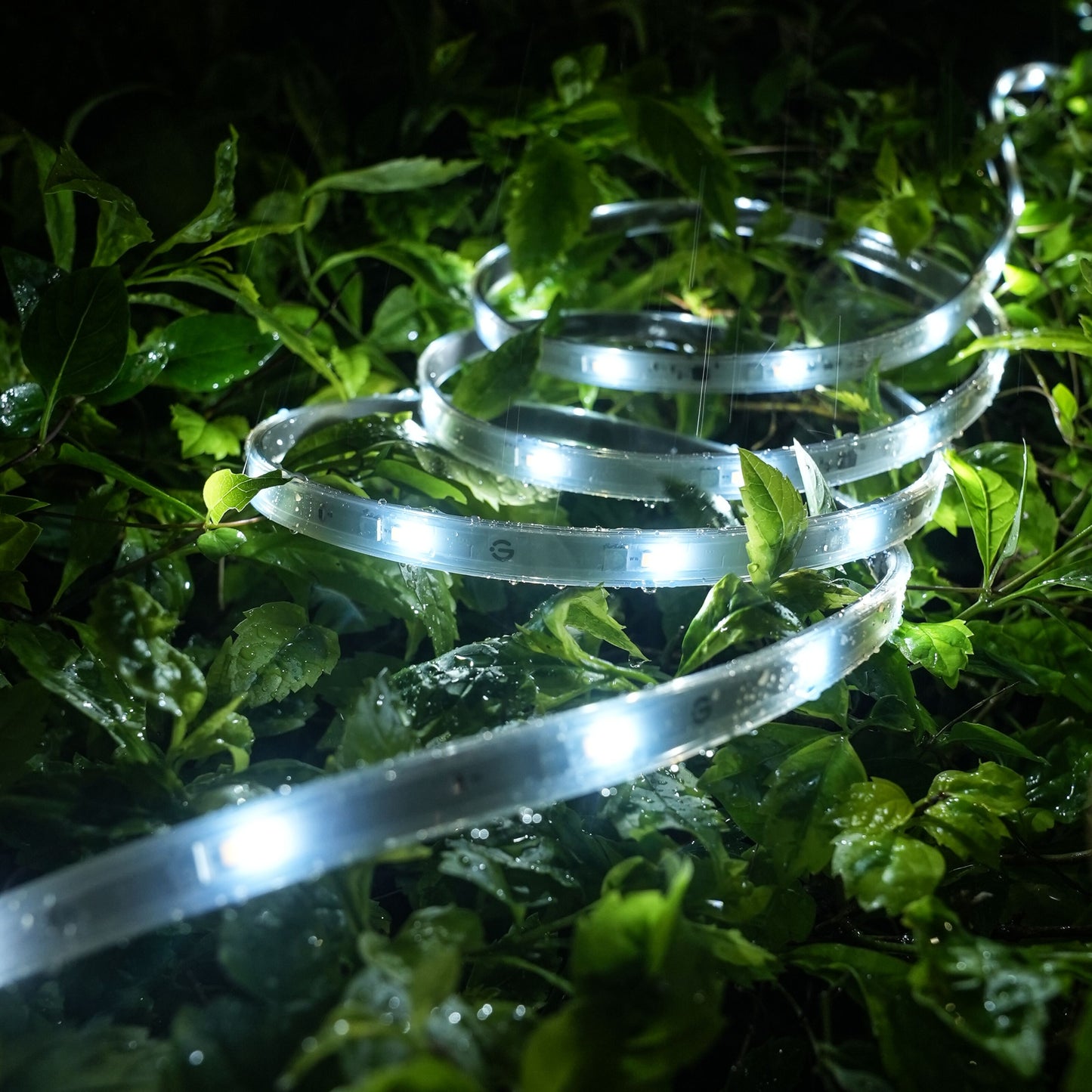 Govee Udendørs Strip Light Pro RGBICWW 10 m spiral lys på våde grønne blade, flerfarvet glød i nattemørke.