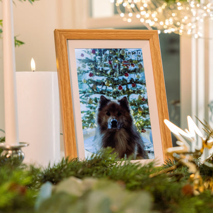 Digital Frameo fotoramme 10,1″ med wifi, Eg