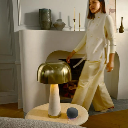 Google Home Speaker – smart højttaler med Gemini, Hazel