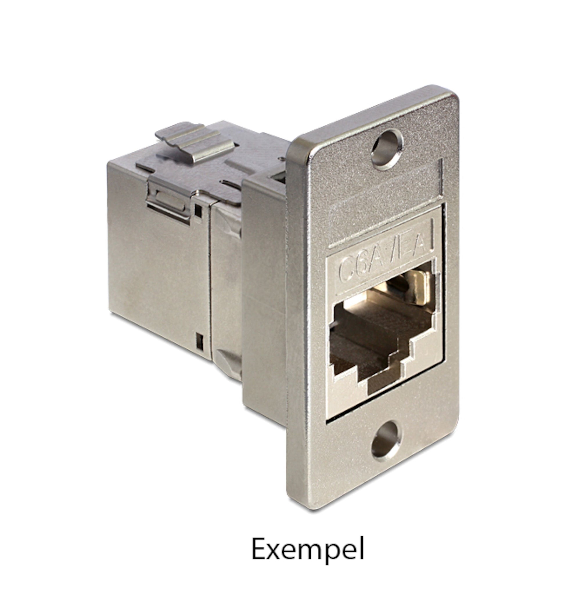 Delock Keystone-holder til panelmontering, metallisk Ethernet-port med rektangulær monteringsplade, tekst under billedet.