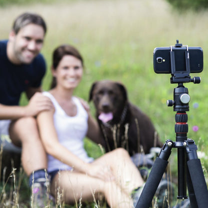 Linocell mobilholder til kamerastativ i fokus med uskarp baggrund, græsfelt og sløret par med brun hund.